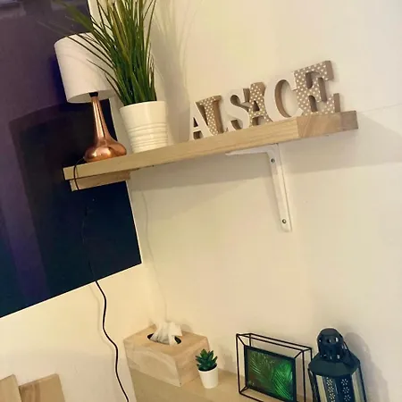 Appartement Le Garden Downtown Mulhouse